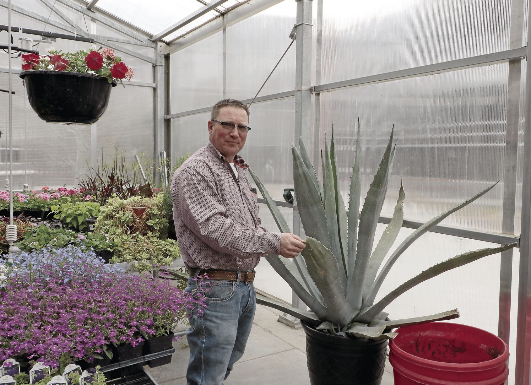 PHOTOSSHSHorticultureplantsale043022333.jpg